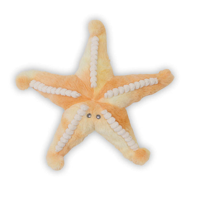 Bubble Plush Star Fish